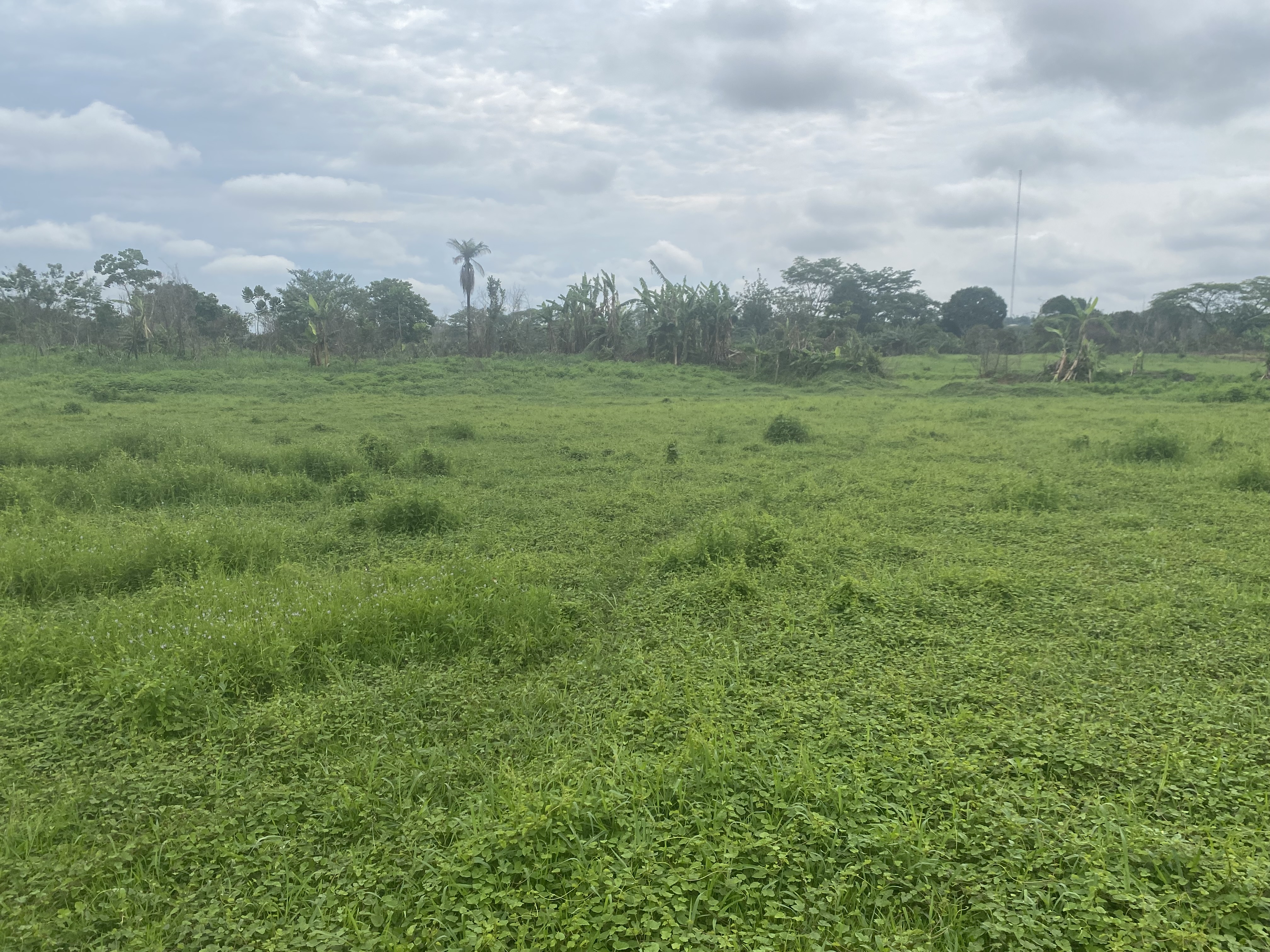 Land Image